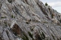 Dangerous mountains are wrapped in a net to protect against rockfall Royalty Free Stock Photo