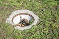 Dangerous opened manhole hole cover, danger for people who walking on the grass in the park in the city Royalty Free Stock Photo