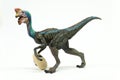 Oviraptor with stolen egg on white background Royalty Free Stock Photo