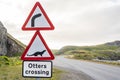 Dangerous right curve and Otters crossing ahead. Red warning road sign along a highway in the scottish highlands. Scotland, UK Royalty Free Stock Photo