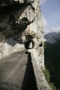 Dangerous road