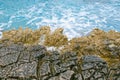 Dangerous rocky sea shore with azure water, aerial drone top view.