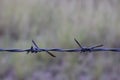 Dangerous sharp steel barbed wire, demarcation, freedom concept