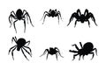 Dangerous tarantula spiders silhouette bundle. Wild insects sitting in different positions. Spider full body silhouette collection Royalty Free Stock Photo