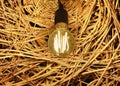 Dangerous use of light bulb next to dry grass, non-compliance with safety, danger of fire Royalty Free Stock Photo