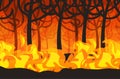dangerous wildfire bush fire development dry woods burning trees global warming natural disaster concept intense orange Royalty Free Stock Photo
