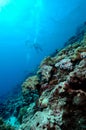 Dangerously beautiful aceh indonesia scuba diving