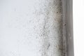 A dangerously mouldy white wall Royalty Free Stock Photo