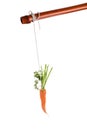 Dangling carrot