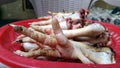 Dangling, chicken paws without peels stock image. Chicken feet stock image.