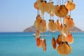 Dangling Shells in a Wind Chime