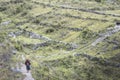 dani tribe woman walking in the landscape of Baliem Valley