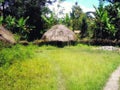 Dani Village. Baliem Valley Papua, Irian Jaya, Indonesian New Guinea