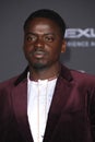 Daniel Kaluuya Royalty Free Stock Photo