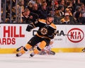Daniel Paille Boston Bruins Royalty Free Stock Photo