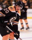 Daniel Paille, Boston Bruins
