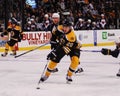 Daniel Paille, Boston Bruins #20.