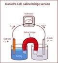 Daniell`s Cell, saline bridge version vector illustration