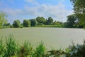 Danilov pond in Pereslavl-Zalessky, Russia