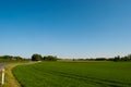 Danish Agricultural landscape Royalty Free Stock Photo