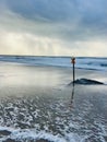 Danish beach section, with bunkers that are slowly being swallowed up by the sea. Royalty Free Stock Photo