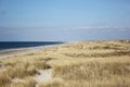 Danish beach Royalty Free Stock Photo