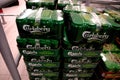 Danish carlsberg beer in cans on sale in grocery store