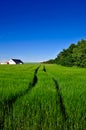 Danish country landscape, farm and field Royalty Free Stock Photo