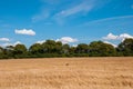 Danish countryside landscape Royalty Free Stock Photo