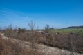 Danish countryside rural landscape Royalty Free Stock Photo