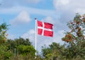 Danish flag above trees Royalty Free Stock Photo