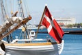 Danish flag Royalty Free Stock Photo