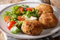 Danish food: traditional breaded pork Patties Karbonader served