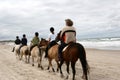 Danish horses on the beach