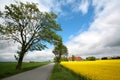 Danish landscape01 Royalty Free Stock Photo