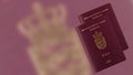 Danish passport Royalty Free Stock Photo