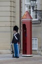 Danish Royal Life Guard on Duty in Copenhagen