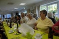 DANISH SENIORS PARTY Royalty Free Stock Photo