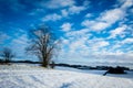 Danish winter landscape III Royalty Free Stock Photo