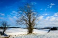 Danish winter landscape V Royalty Free Stock Photo