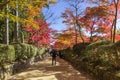 Danjo Garan temple complex, one sacred spots at the heartland of the Mount Koya, Japan