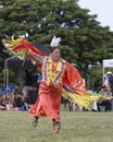 Danseuse Pow Wow Royalty Free Stock Photo