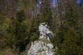 Danube breakthrough from Kelheim to Weltenburg monastery with rocks