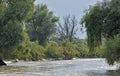 Danube delta channel Royalty Free Stock Photo