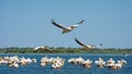 Danube Delta - European Travel Destination