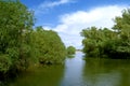 Danube delta landscape Royalty Free Stock Photo