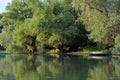 Danube Delta landscape Royalty Free Stock Photo