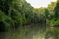 Danube Delta landscape Royalty Free Stock Photo