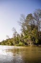 Danube Delta Landscape, Romania Royalty Free Stock Photo