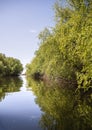 Danube Delta Landscape, Romania Royalty Free Stock Photo